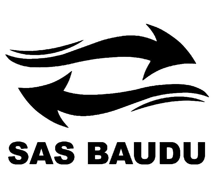 Logo SAS Baudu